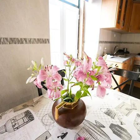 Akicity Alfama Radiant Apartament *